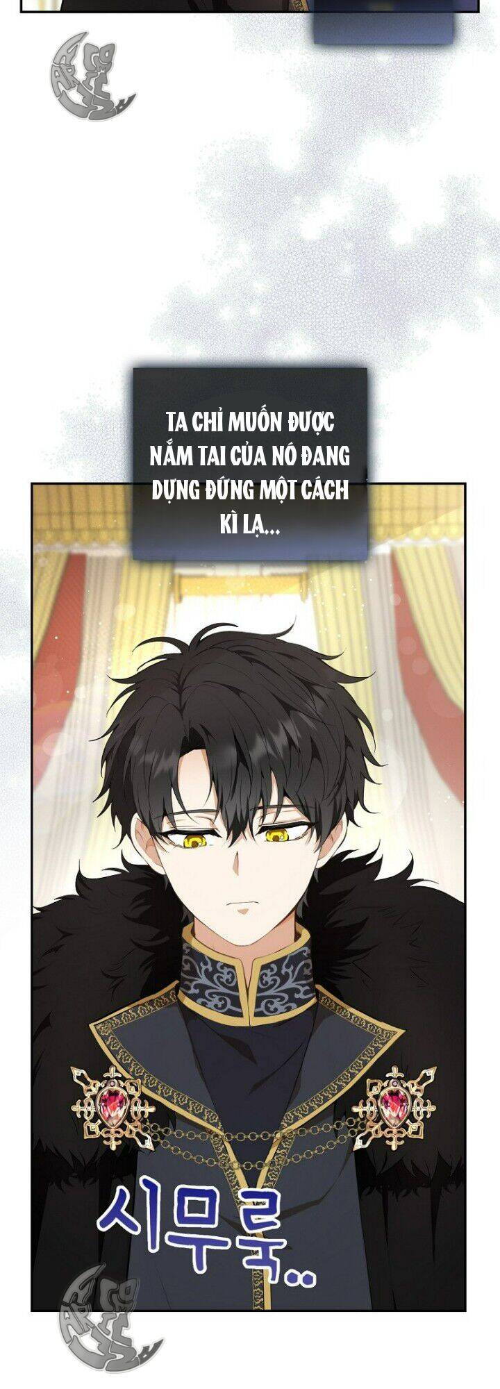 Sóc Con Tài Năng Chapter 5 - Trang 2