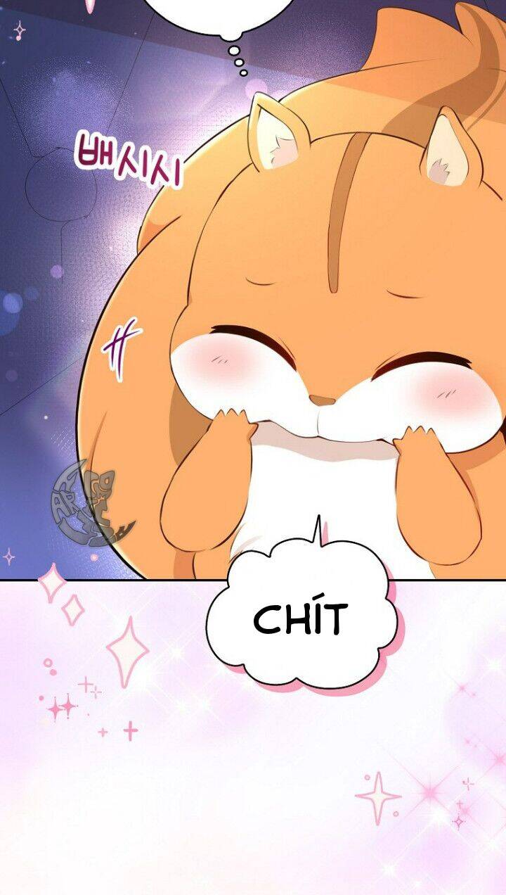 Sóc Con Tài Năng Chapter 5 - Trang 2