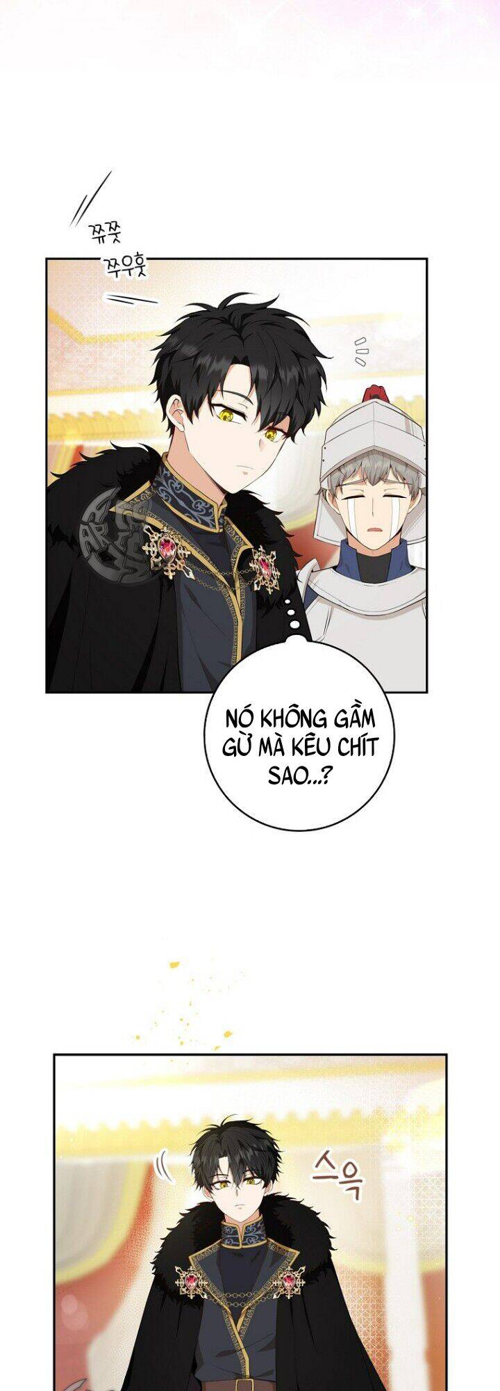 Sóc Con Tài Năng Chapter 5 - Trang 2