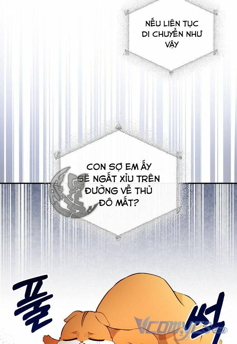 Sóc Con Tài Năng Chapter 7 - Trang 2