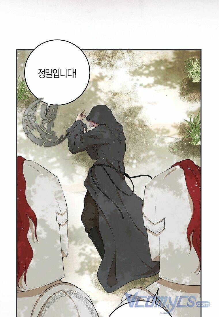 Sóc Con Tài Năng Chapter 8 - Trang 2