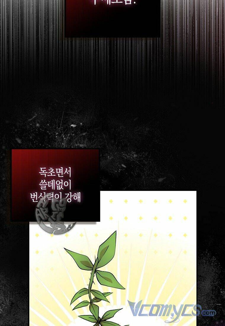 Sóc Con Tài Năng Chapter 8 - Trang 2