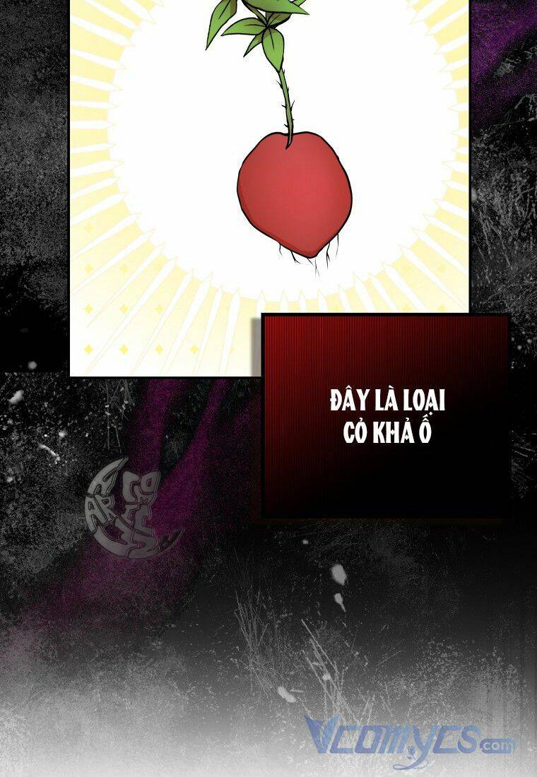 Sóc Con Tài Năng Chapter 8 - Trang 2