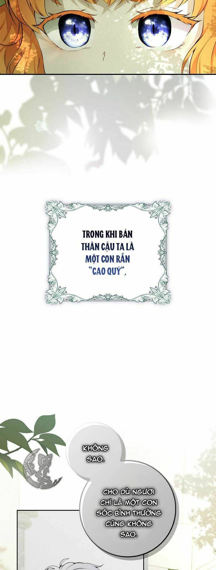 Sóc Nhỏ Tài Năng Chapter 1 - Trang 2