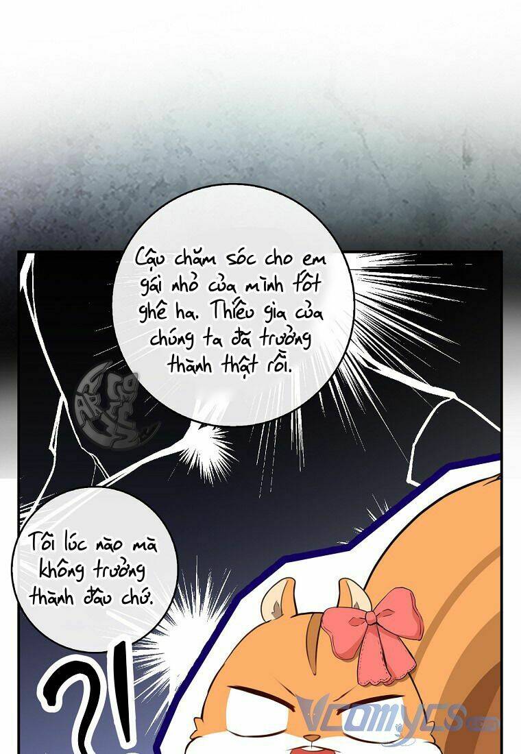 Sóc Nhỏ Tài Năng Chapter 11 - Trang 2