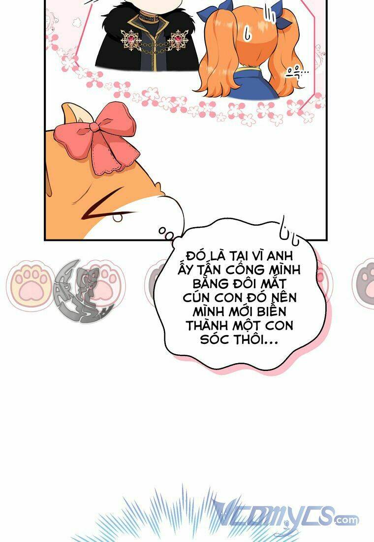 Sóc Nhỏ Tài Năng Chapter 11 - Trang 2