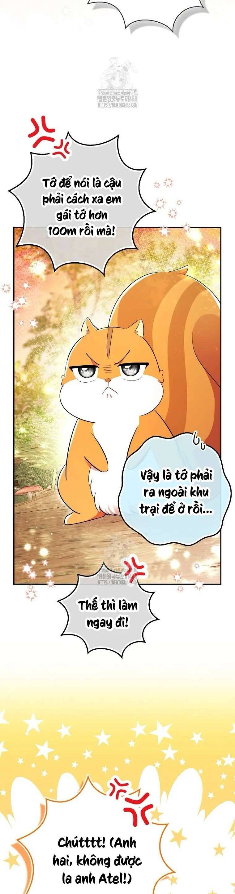 Sóc Nhỏ Tài Năng Chapter 113 - Trang 2