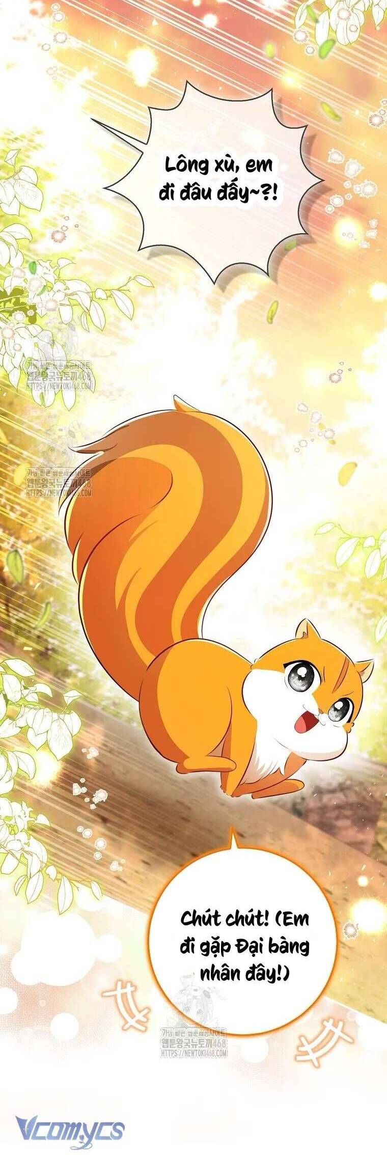 Sóc Nhỏ Tài Năng Chapter 113 - Trang 2