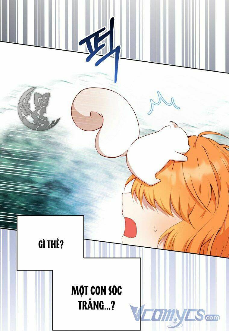 Sóc Nhỏ Tài Năng Chapter 12 - Trang 2