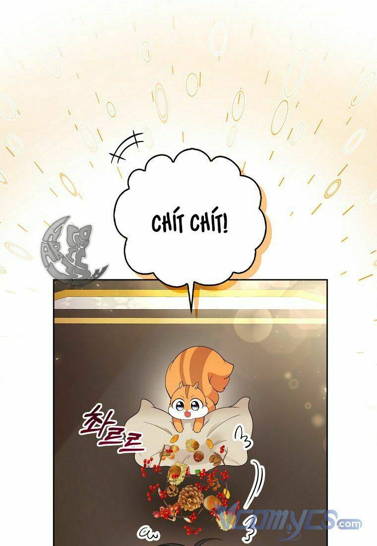 Sóc Nhỏ Tài Năng Chapter 12 - Trang 2