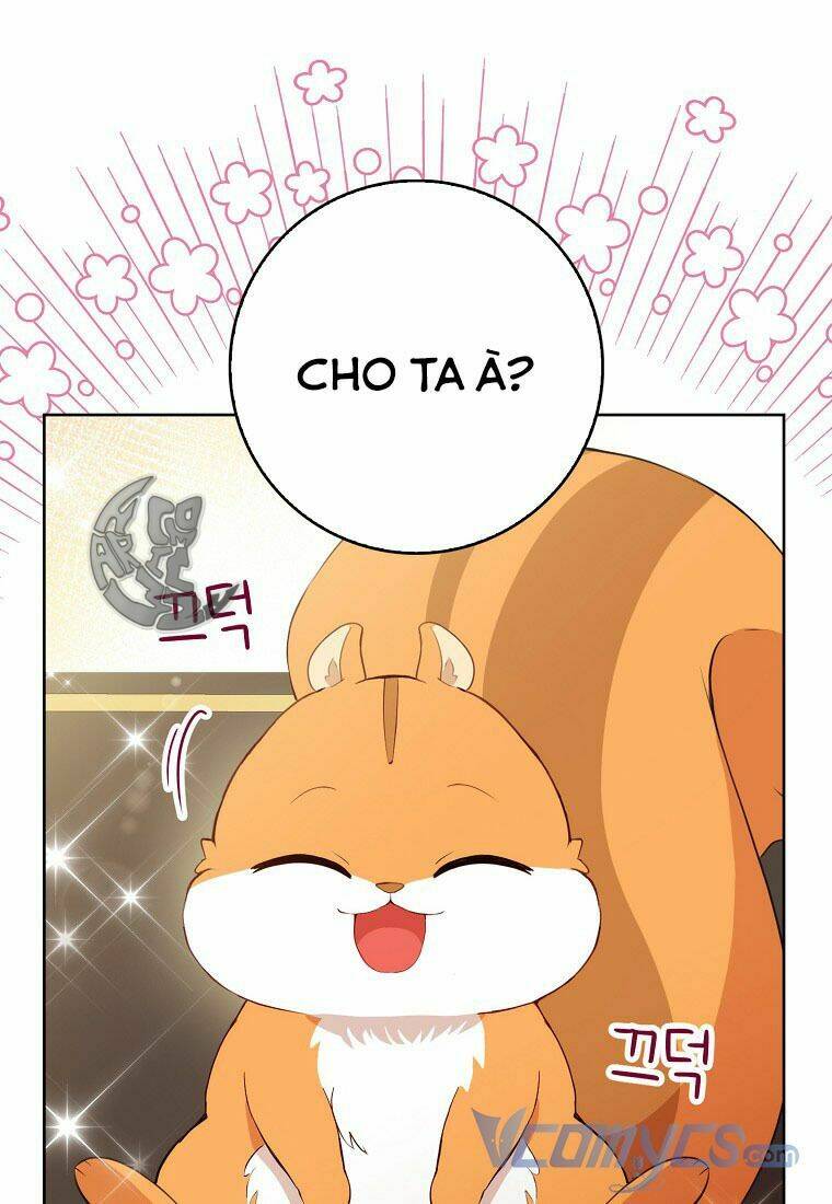 Sóc Nhỏ Tài Năng Chapter 12 - Trang 2