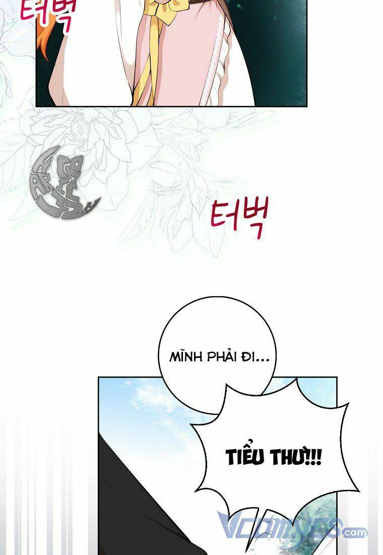 Sóc Nhỏ Tài Năng Chapter 12 - Trang 2