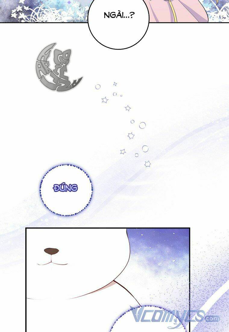 Sóc Nhỏ Tài Năng Chapter 13 - Trang 2