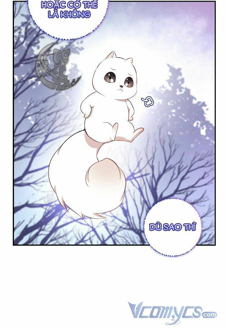 Sóc Nhỏ Tài Năng Chapter 13 - Trang 2