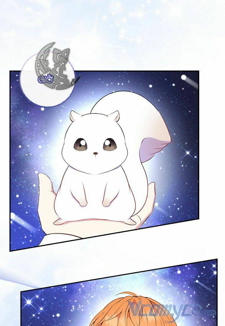 Sóc Nhỏ Tài Năng Chapter 13 - Trang 2