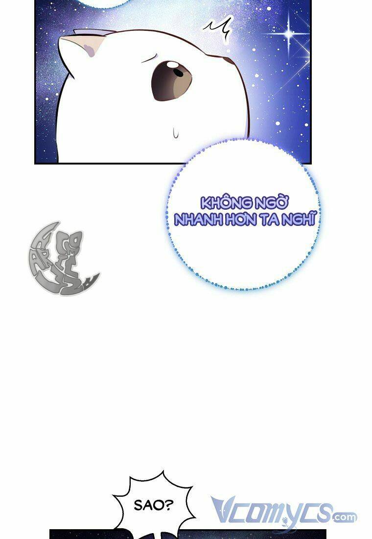 Sóc Nhỏ Tài Năng Chapter 13 - Trang 2