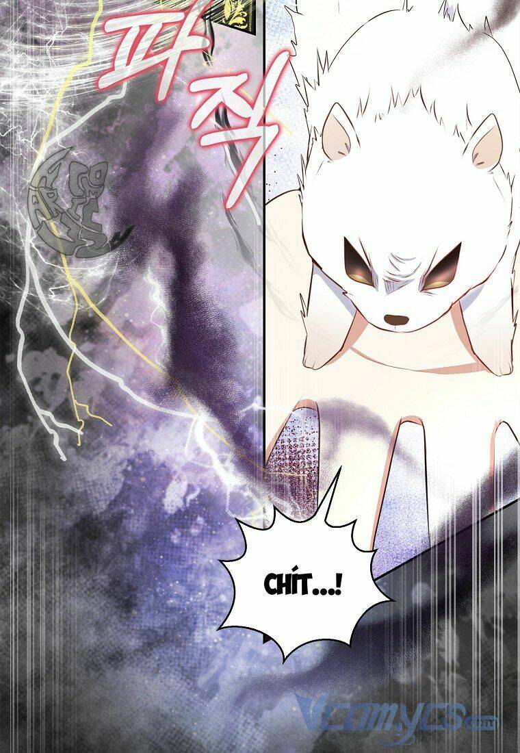 Sóc Nhỏ Tài Năng Chapter 14 - Trang 2