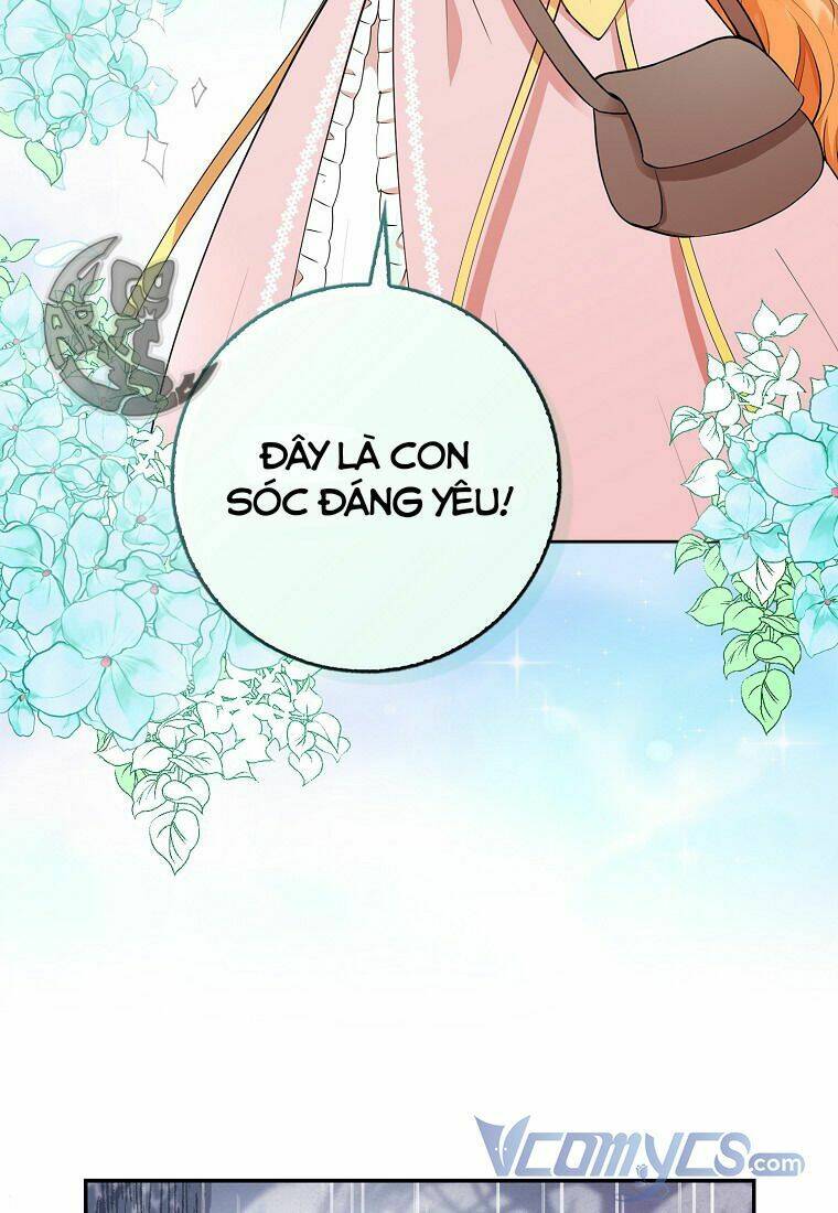 Sóc Nhỏ Tài Năng Chapter 14 - Trang 2