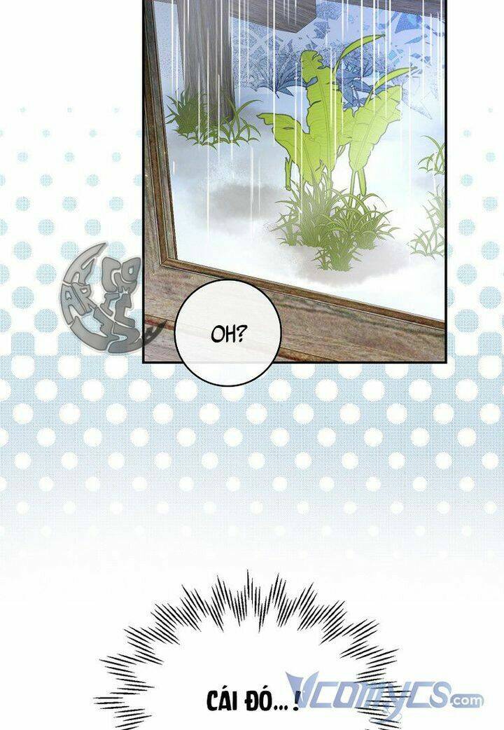 Sóc Nhỏ Tài Năng Chapter 15 - Trang 2
