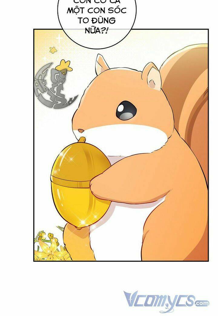 Sóc Nhỏ Tài Năng Chapter 21 - Trang 2