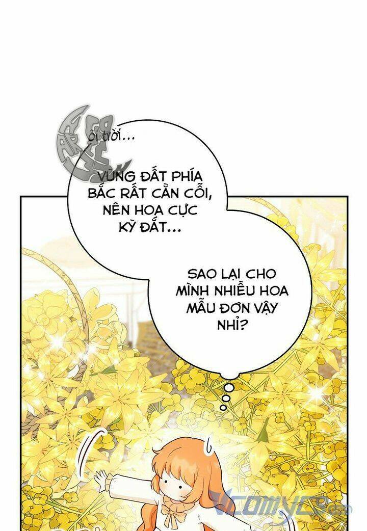 Sóc Nhỏ Tài Năng Chapter 21 - Trang 2