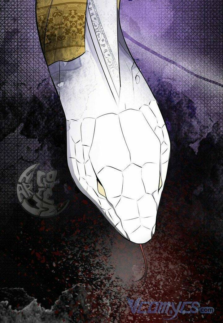 Sóc Nhỏ Tài Năng Chapter 21 - Trang 2