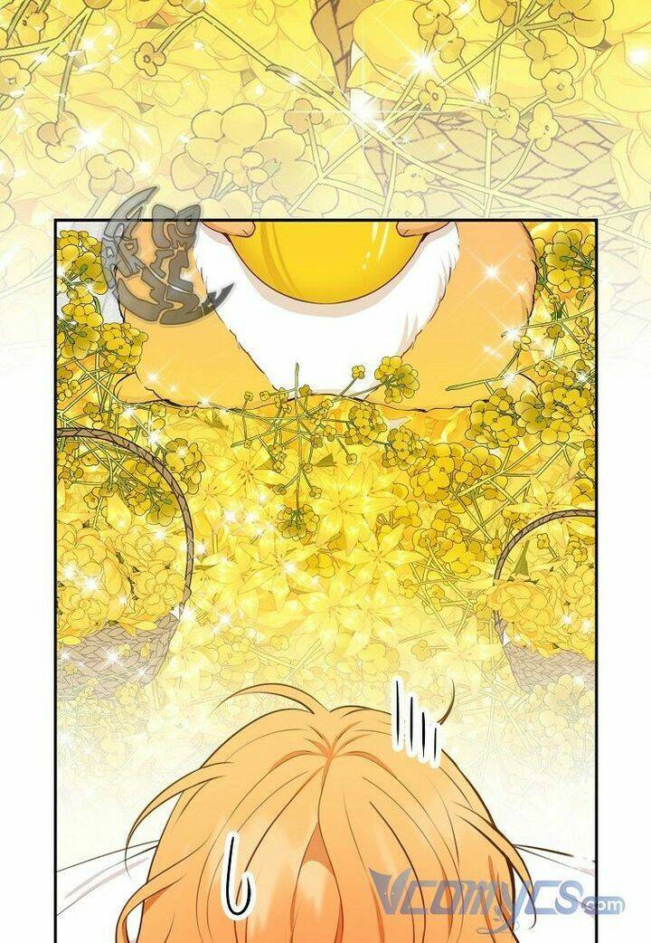 Sóc Nhỏ Tài Năng Chapter 21 - Trang 2