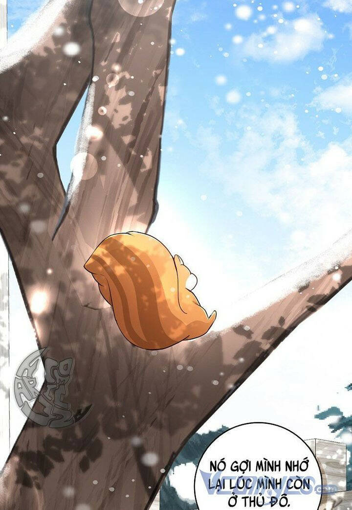 Sóc Nhỏ Tài Năng Chapter 22 - Trang 2