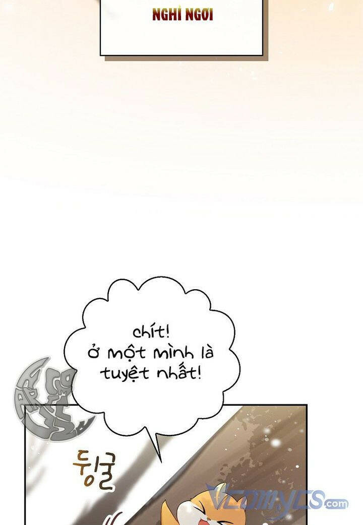 Sóc Nhỏ Tài Năng Chapter 22 - Trang 2