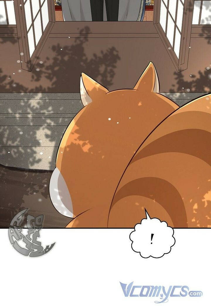 Sóc Nhỏ Tài Năng Chapter 22 - Trang 2