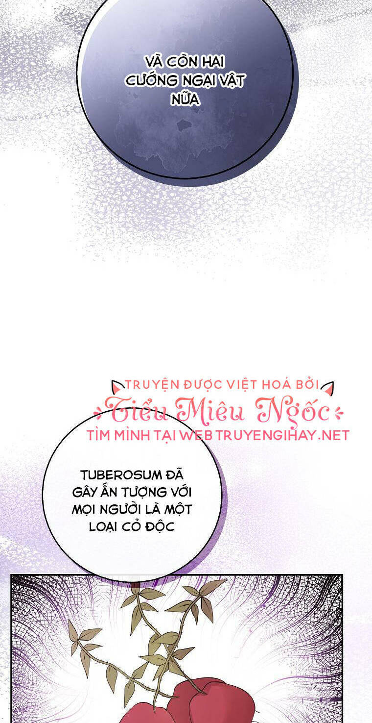 Sóc Nhỏ Tài Năng Chapter 26 - Trang 2