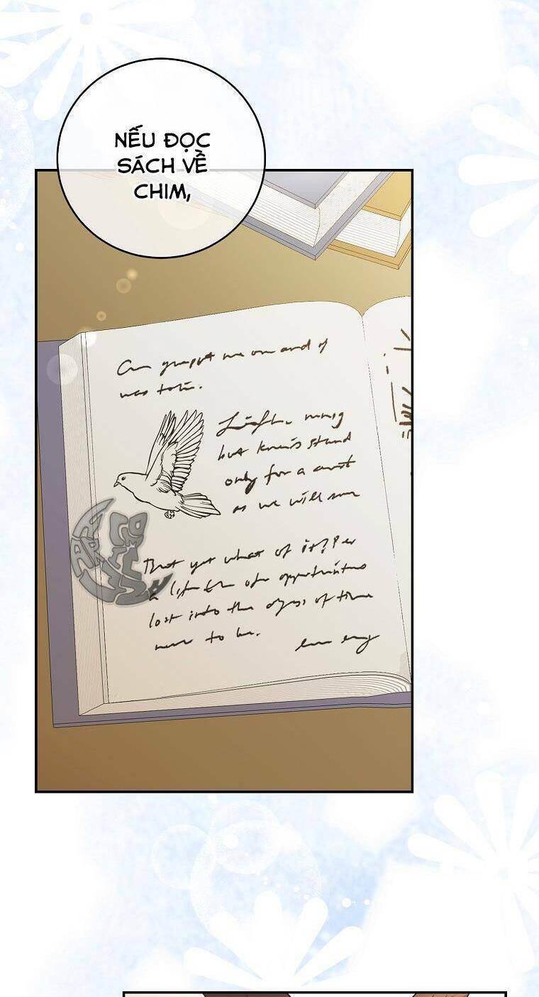 Sóc Nhỏ Tài Năng Chapter 27 - Trang 2