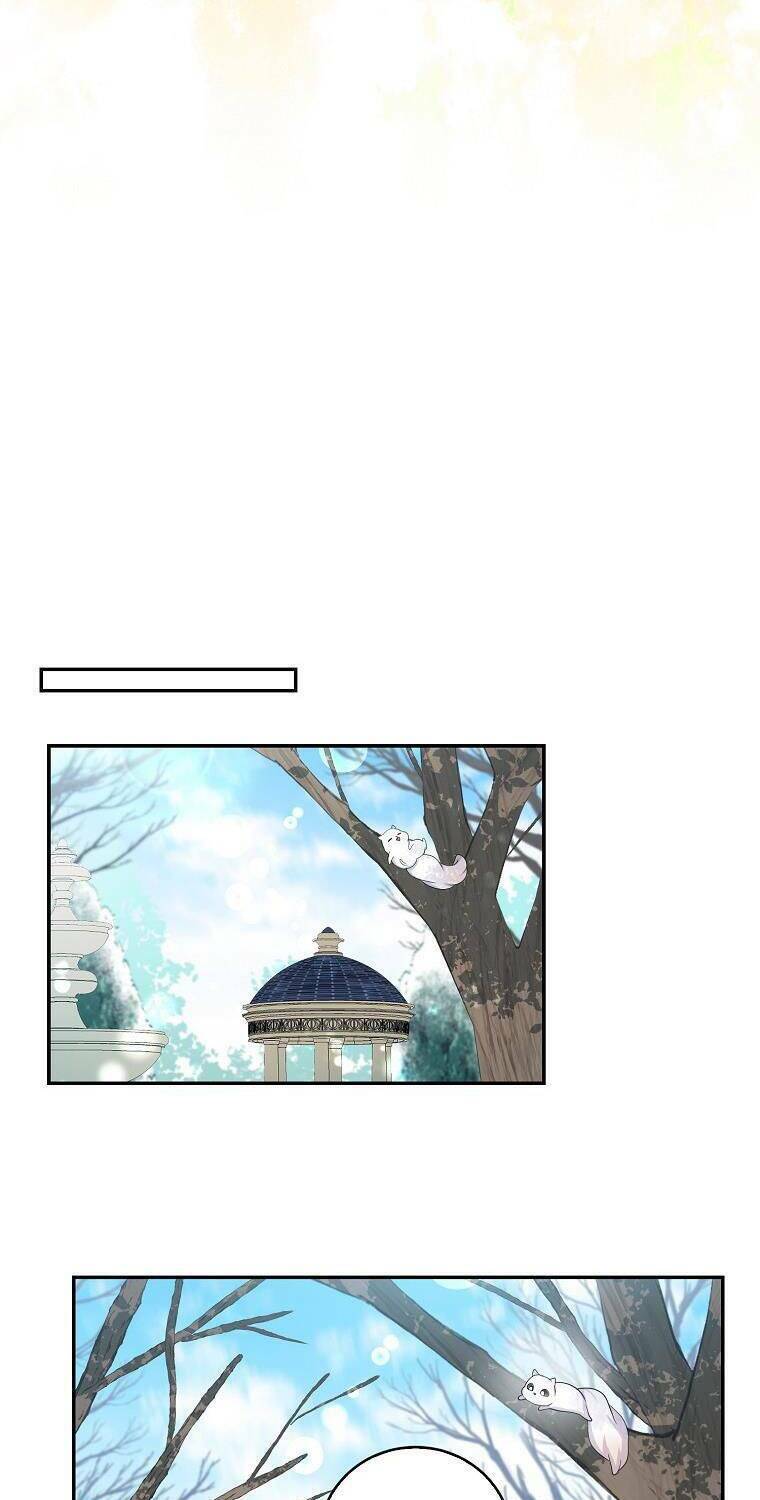 Sóc Nhỏ Tài Năng Chapter 27 - Trang 2