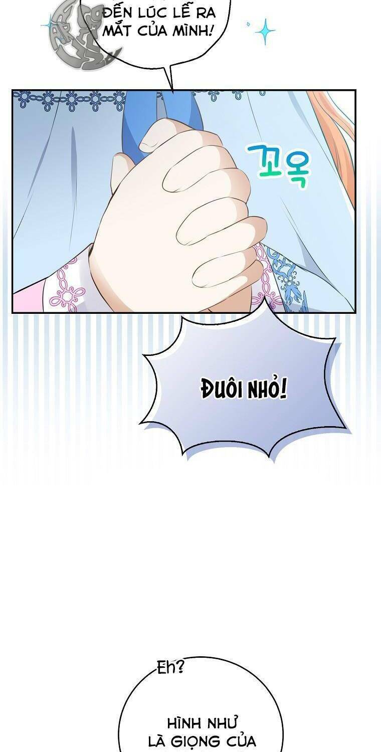 Sóc Nhỏ Tài Năng Chapter 27 - Trang 2