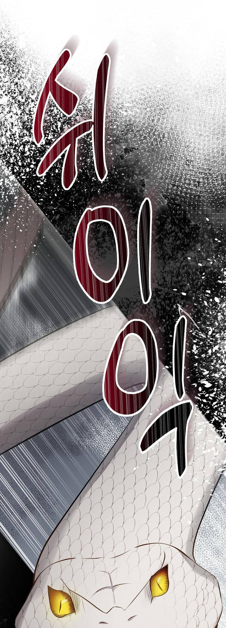 Sóc Nhỏ Tài Năng Chapter 28 - Trang 2