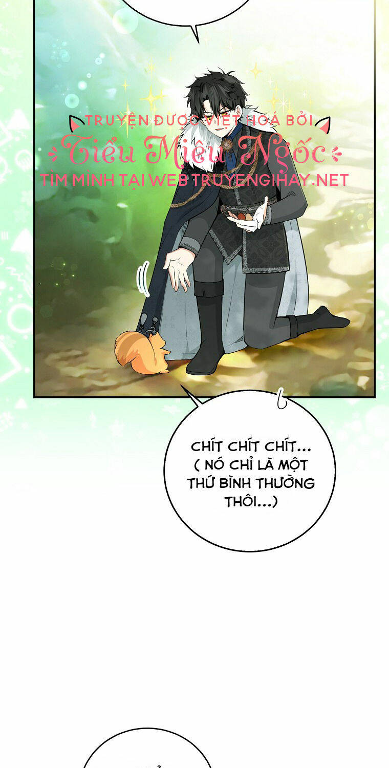 Sóc Nhỏ Tài Năng Chapter 29 - Trang 2