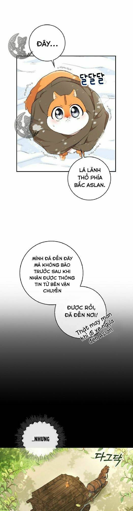 Sóc Nhỏ Tài Năng Chapter 3 - Trang 2