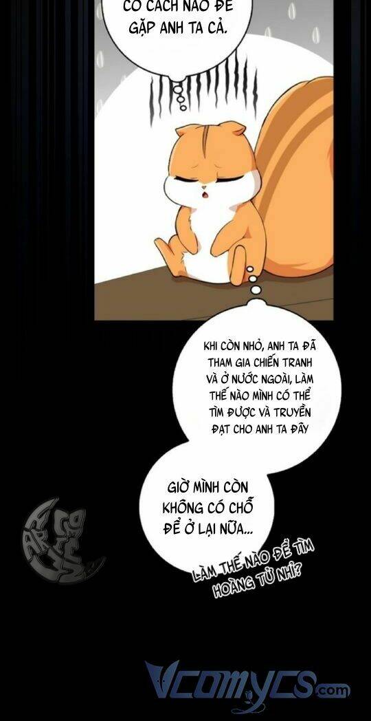 Sóc Nhỏ Tài Năng Chapter 3 - Trang 2