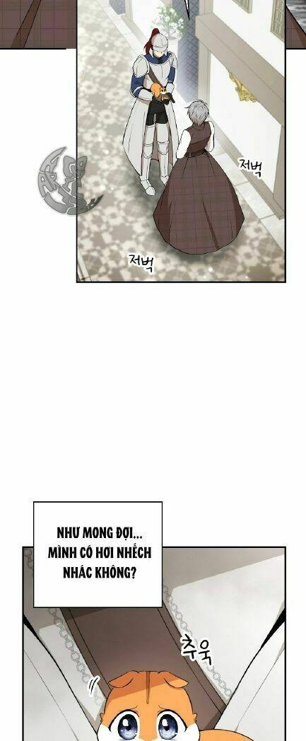 Sóc Nhỏ Tài Năng Chapter 3 - Trang 2