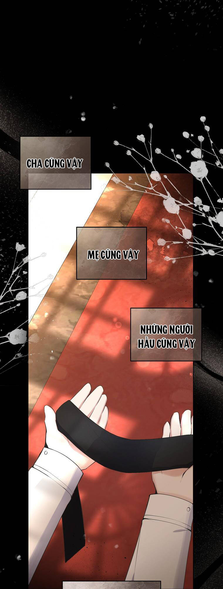 Sóc Nhỏ Tài Năng Chapter 31 - Trang 2