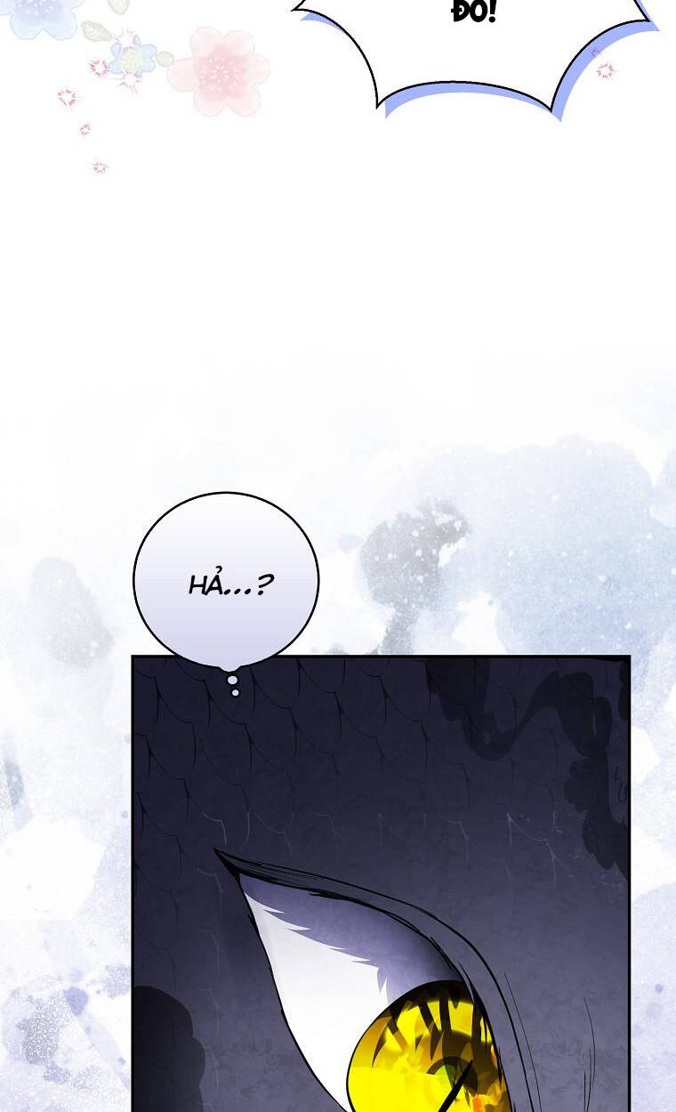 Sóc Nhỏ Tài Năng Chapter 31 - Trang 2