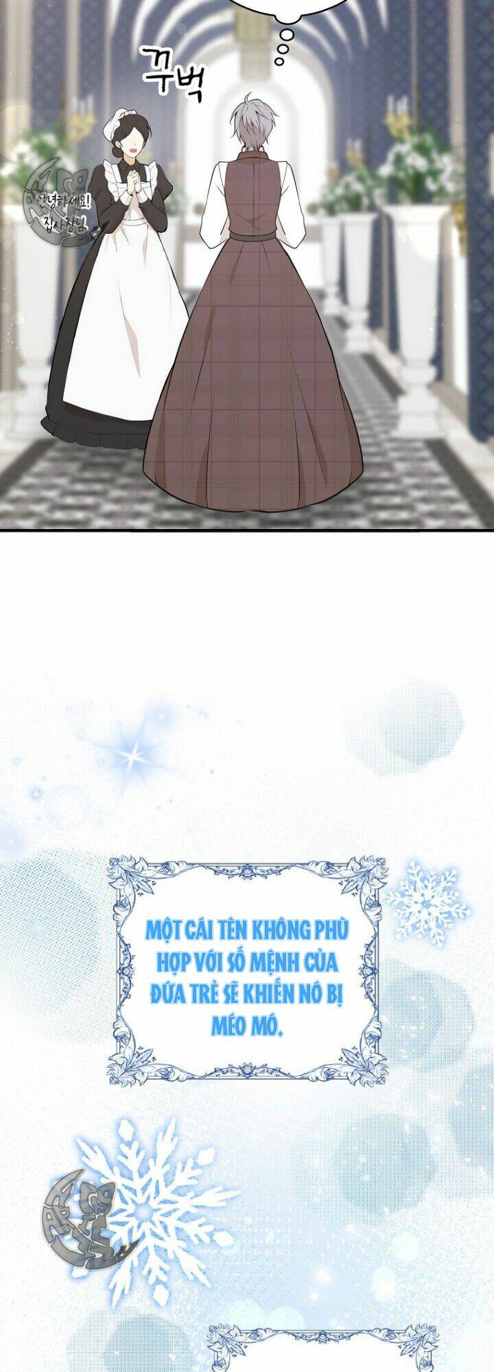 Sóc Nhỏ Tài Năng Chapter 5 - Trang 2