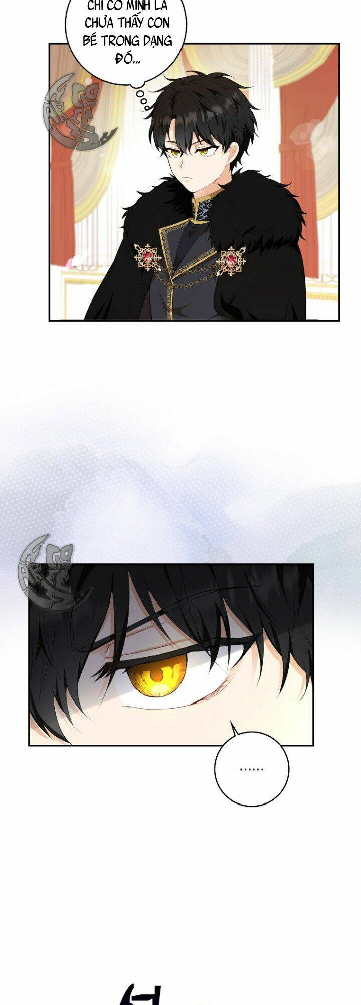 Sóc Nhỏ Tài Năng Chapter 5 - Trang 2