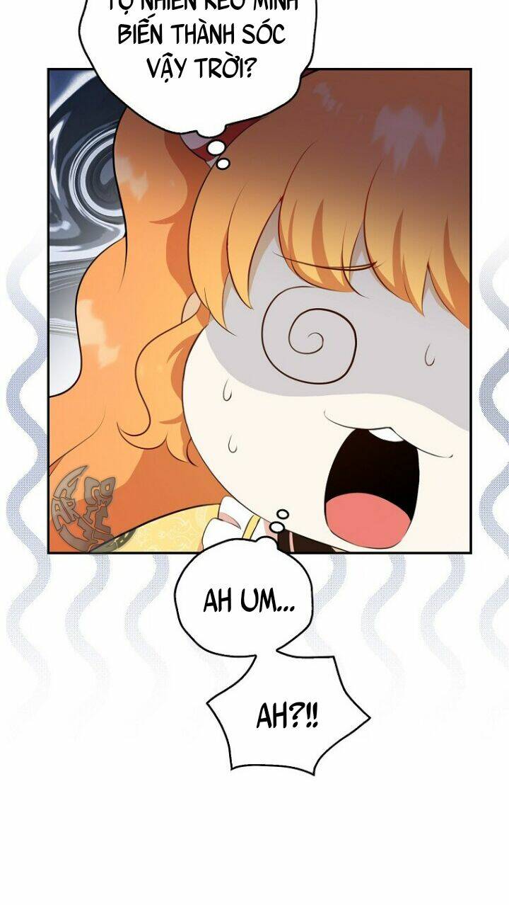 Sóc Nhỏ Tài Năng Chapter 5 - Trang 2