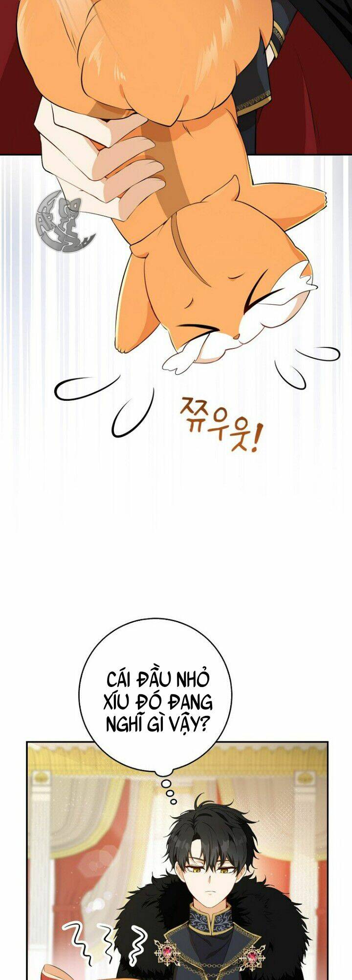 Sóc Nhỏ Tài Năng Chapter 5 - Trang 2