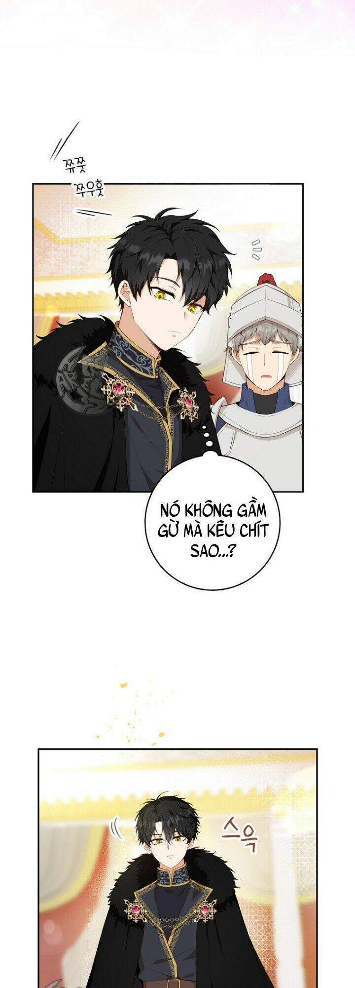 Sóc Nhỏ Tài Năng Chapter 5 - Trang 2