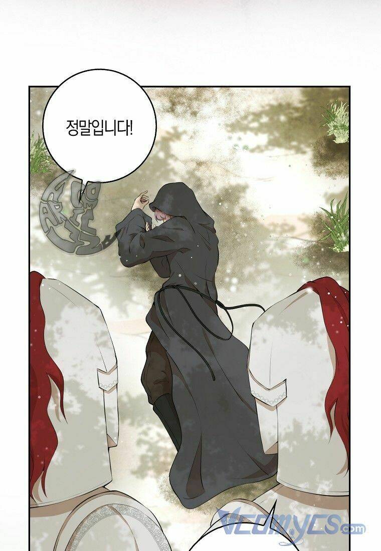 Sóc Nhỏ Tài Năng Chapter 8 - Trang 2