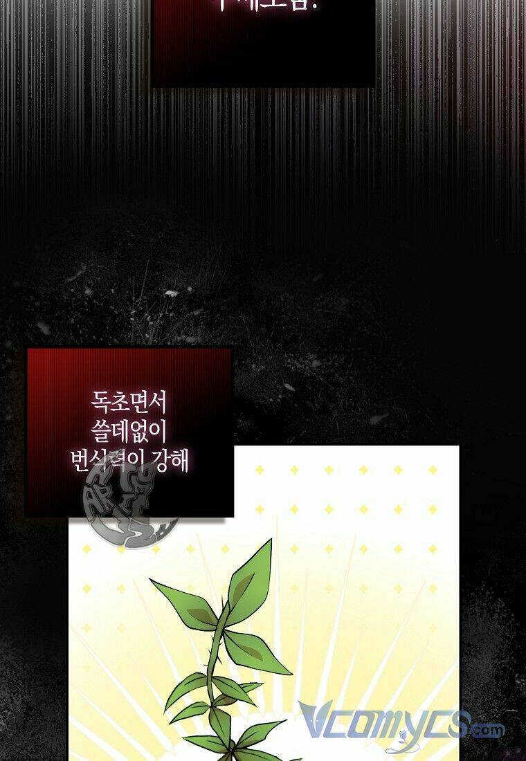 Sóc Nhỏ Tài Năng Chapter 8 - Trang 2