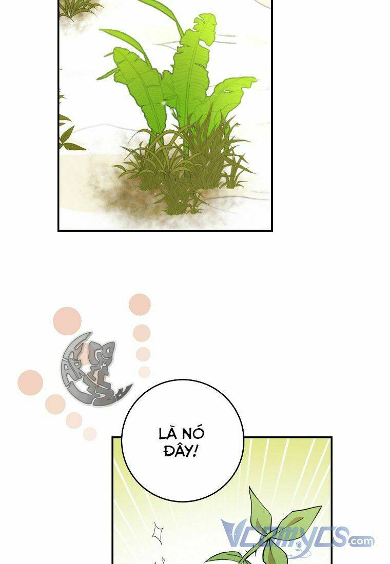 Sóc Nhỏ Tài Năng Chapter 8 - Trang 2