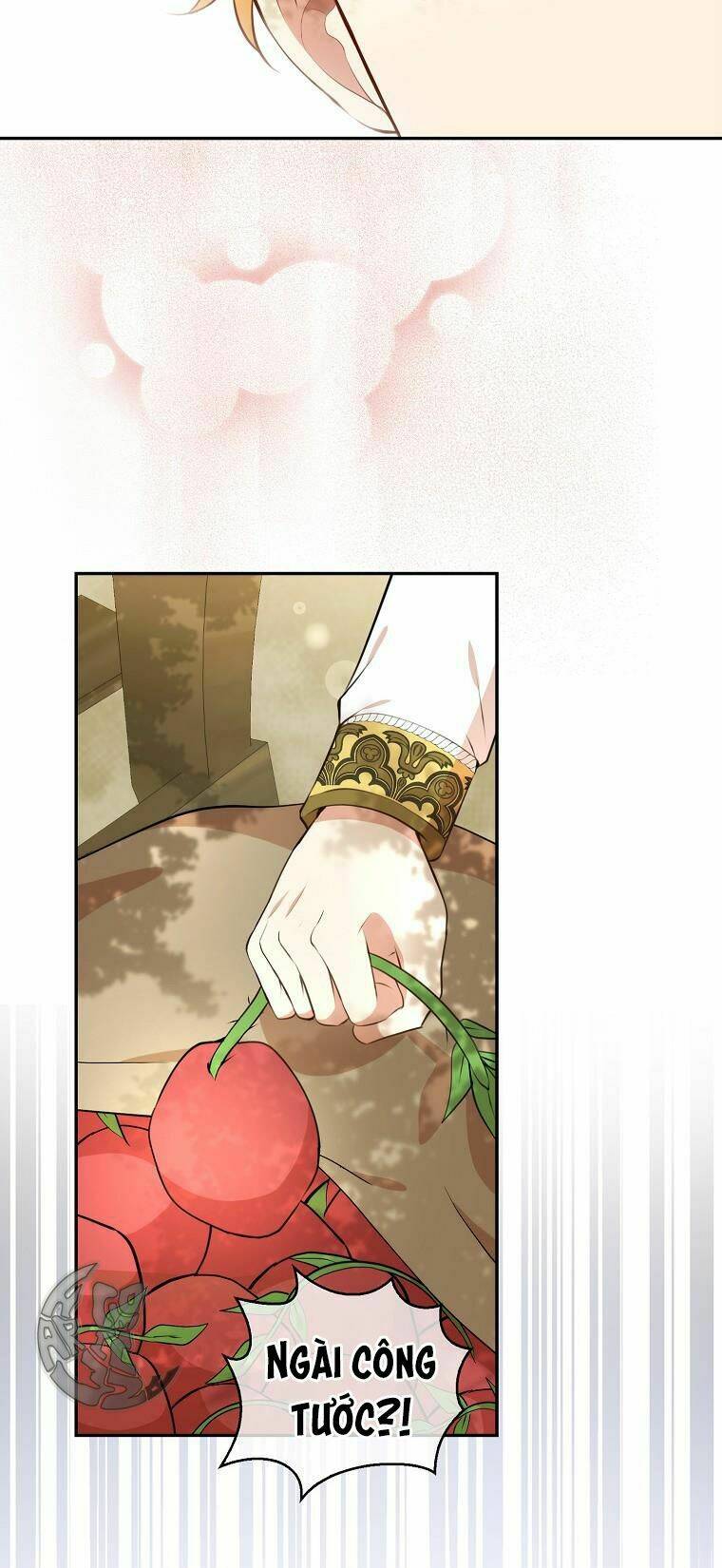 Sóc Nhỏ Tài Năng Chapter 9 - Trang 2